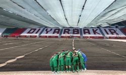 Amedspor taraftarı 6 milyon zarara yol açtı