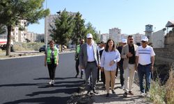 Diyarbakır Eş Başkanları, asfalt ve peyzaj çalışmalarını yerinde inceledi