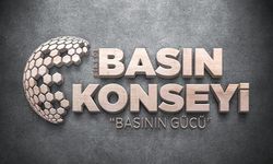 Bingöl Basın Konseyi kuruldu