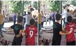 Kızgın boğa kasaba saldırdı