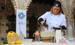 Coğrafi işaret alan "Cizre limonatası" tanıtımı