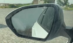 Diyarbakır’ın o ilçesi istila ile boğuşuyor