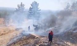 Sigara izmaritleri yangınlara neden oldu