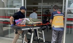 Otomobil şarampole devrildi: 8 yaralı