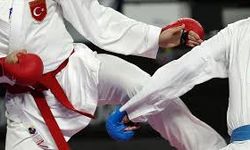 Çermik'te "Geleneksel Bölge Karate Turnuvası"