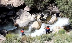 Hakkari'de kayıp kadını arama çalışmalarına yeniden başlandı