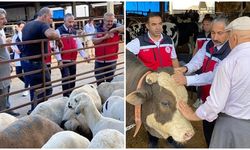 Kurbanlık hayvan satışı ve nakliyesine sıkı denetim