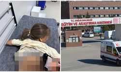 Sokak köpekleri bir çocuğu yaraladı