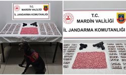 Mardin’de operasyon: 2 gözaltı