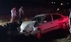 Şanlıurfa Siverek’te şarampole düşen otomobilde 2 yaralı