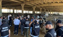 Diyarbakır Polisi sahte parayı anlattı