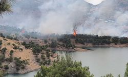 Adıyaman'daki orman yangını kontrol altına alındı