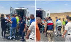 Siirt'te devrilen otomobilin sürücüsü yaralandı