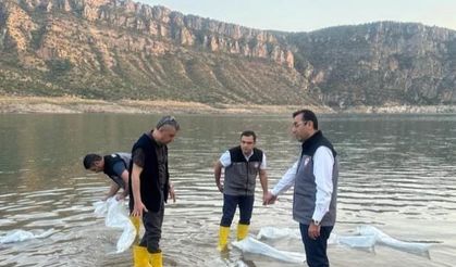 Endemik balık türleri baraj göllerine bırakıldı