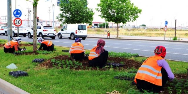REFÜJLERE 700 BİN ÇİÇEK