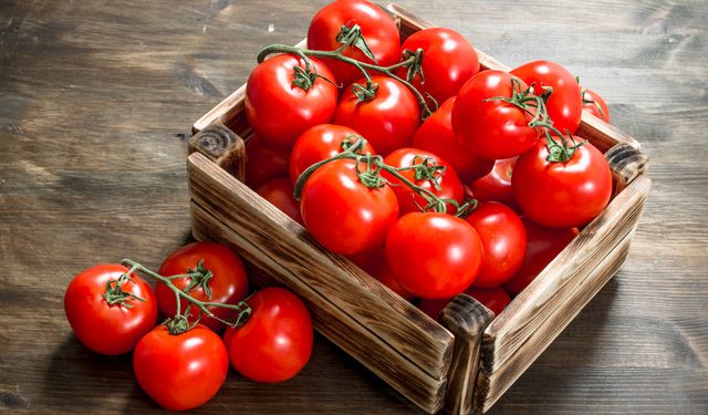 Domatesleri kışın da taze tüketin: En lezzetli ve kolay domates saklama yöntemleri nelerdir?