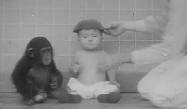 Bir şempanze ve bir bebek kardeş gibi büyütülürse ne olur?