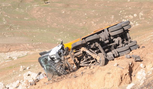 Cizre'de  kamyon şarampole devrildi, sürücüsü yaralandı