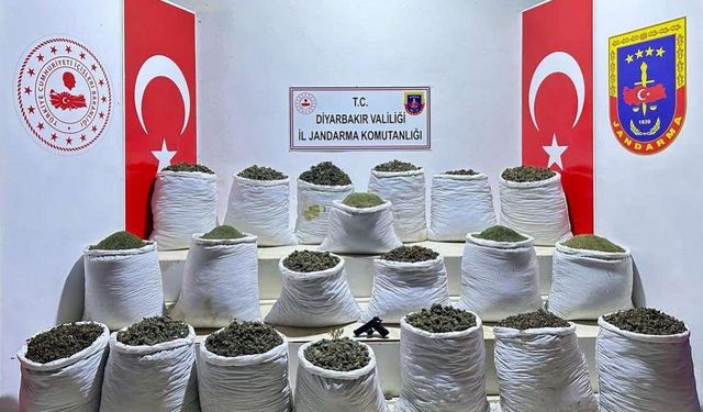 Diyarbakır'da uyuşturucu operasyonu, 2 gözaltı