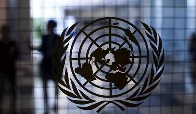 Birleşmiş Milletler’den “soykırım” uyarısı