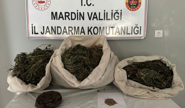 Mardin'de uyuşturucu operasyonunda 7 tutuklama