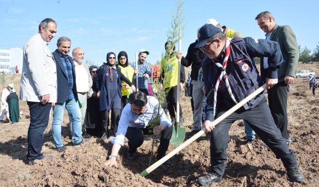 Diyarbakır'da 23 bin fidan toprakla buluştu