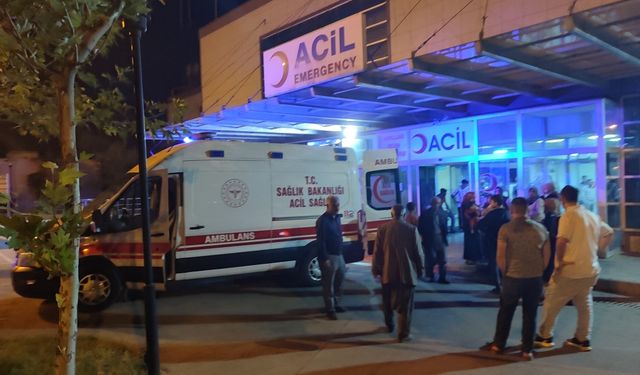 Şanlıurfa'da otomobilin çarpttığı yaya yaralandı