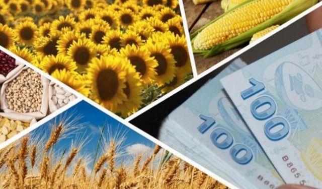 Buğday için destek dekar başına 149 lira