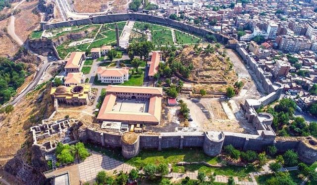 Diyarbakır'da çöpe atılıyordu, fiyatı yüzde yüz arttı