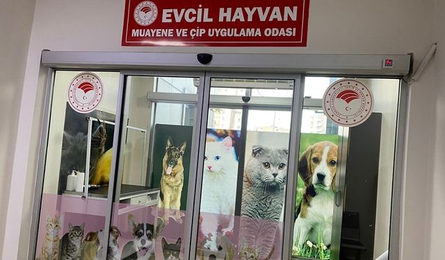 Diyarbakır’da evcil hayvanlar için çip uygulama odası