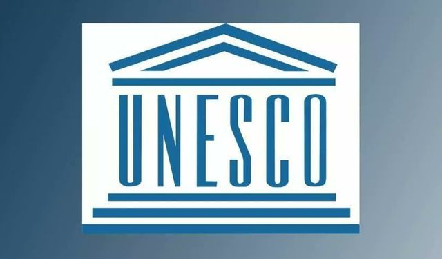 Türkiye'den UNESCO’ya yeni giren 4 unsur