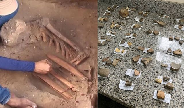 Brezilya'da 10.000 yıllık mezarlar bulundu