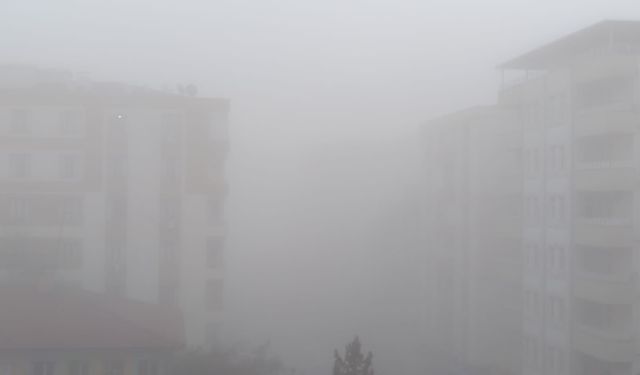 Diyarbakır’da sis etkili oldu