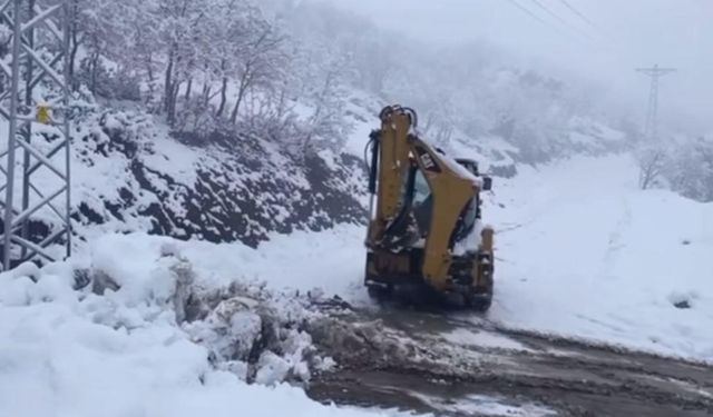 Siirt'te kapanan yolları ulaşıma açıldı