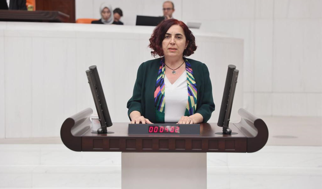 Diyarbakır Milletvekili Sevilay Çelenk’ten gazeteciye destek