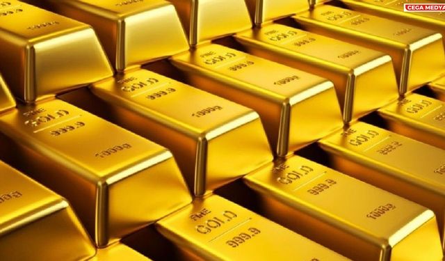 Hakkari’de 221 kilo külçe altın yakalandı