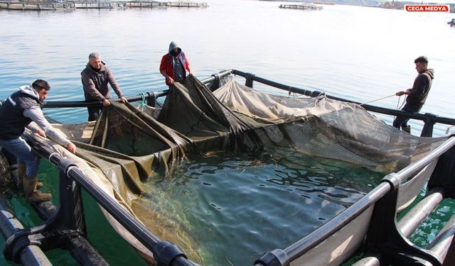Urfa’dan 100 milyon dolarlık balık ihracatı