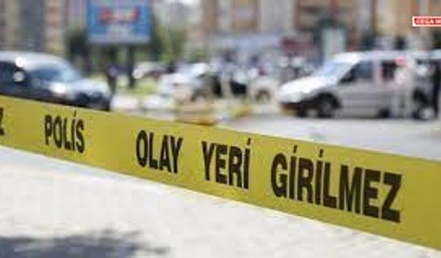 Diyarbakır yolunda devrilen otomobildeki 5 kişi yaralandı