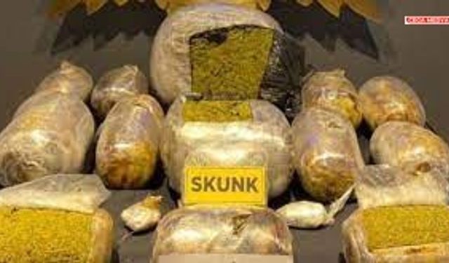 Şanlıurfa'da 20 kilogram skunk ele geçirildi