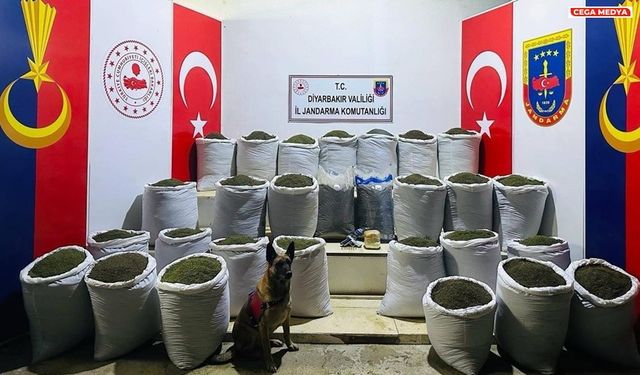 Diyarbakır’da 611 kilo esrar bulundu: 3 gözaltı
