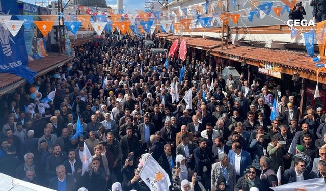 AK Parti Diyarbakır adayı: Molotofa, mermiye, silaha talip olmadık
