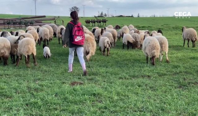 Çobanlık yaparak yüzlerce madalya kazandı: 4 kez Türkiye birincisi oldu