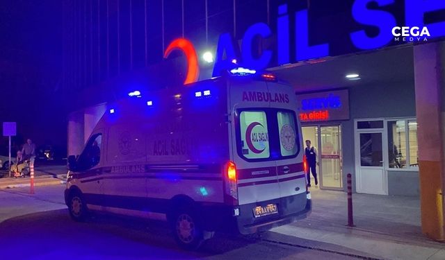 Erzincan Tercan’da kaza: 7 yaralı