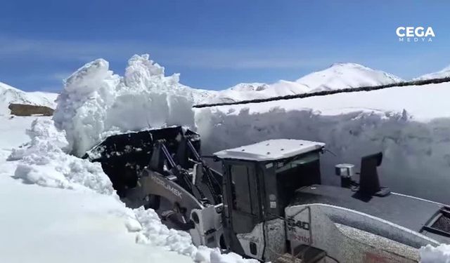 Hakkari'de karla kaplı yollarda çalışma sürüyor