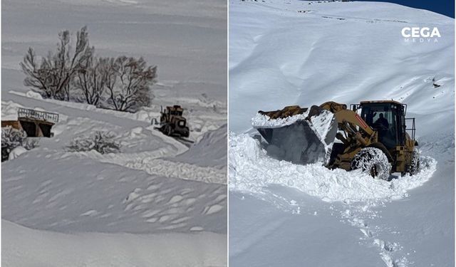 Hakkari Yüksekova’da karla mücadele
