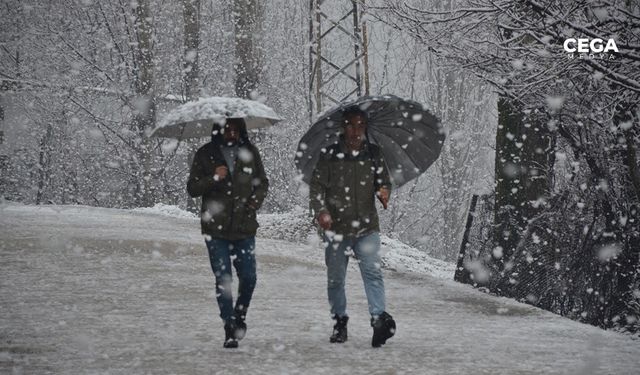 Bahar ayında Şırnak'ta lapa lapa kar