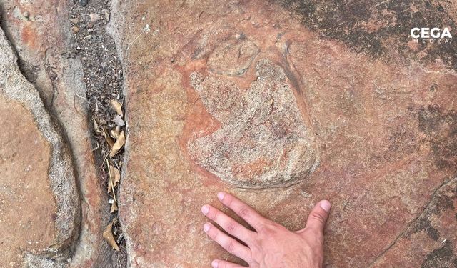 Dinozor ayak izleri ile kaya sanatı keşfedildi