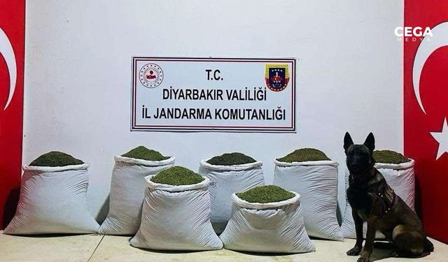 Diyarbakır’da Lice’de uyuşturucu operasyonu: 129 kilo toz esrar yakalandı