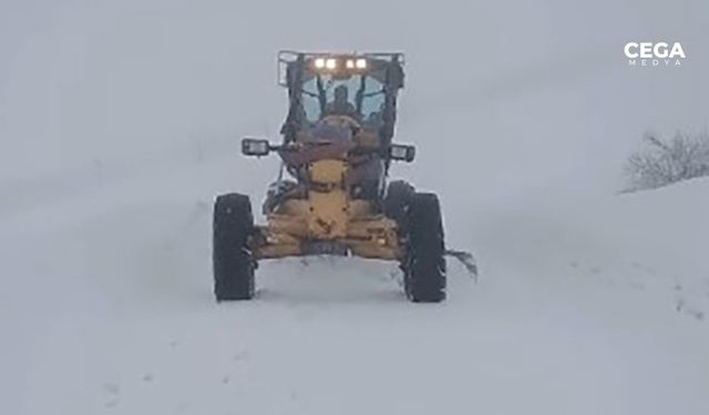 Tunceli'de karla mücadele: 9 köy yolu kapalı