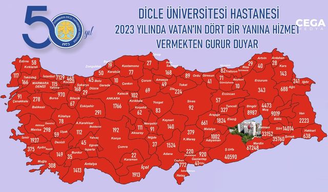 Diyarbakır'dan Türkiye'ye hizmetin bilançosu açıklandı
